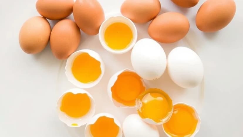 Hur mycket protein finns i ett ägg